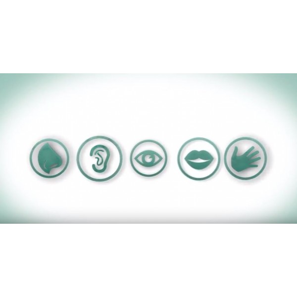 "Five Senses For Glass" "Five Senses For Glass"